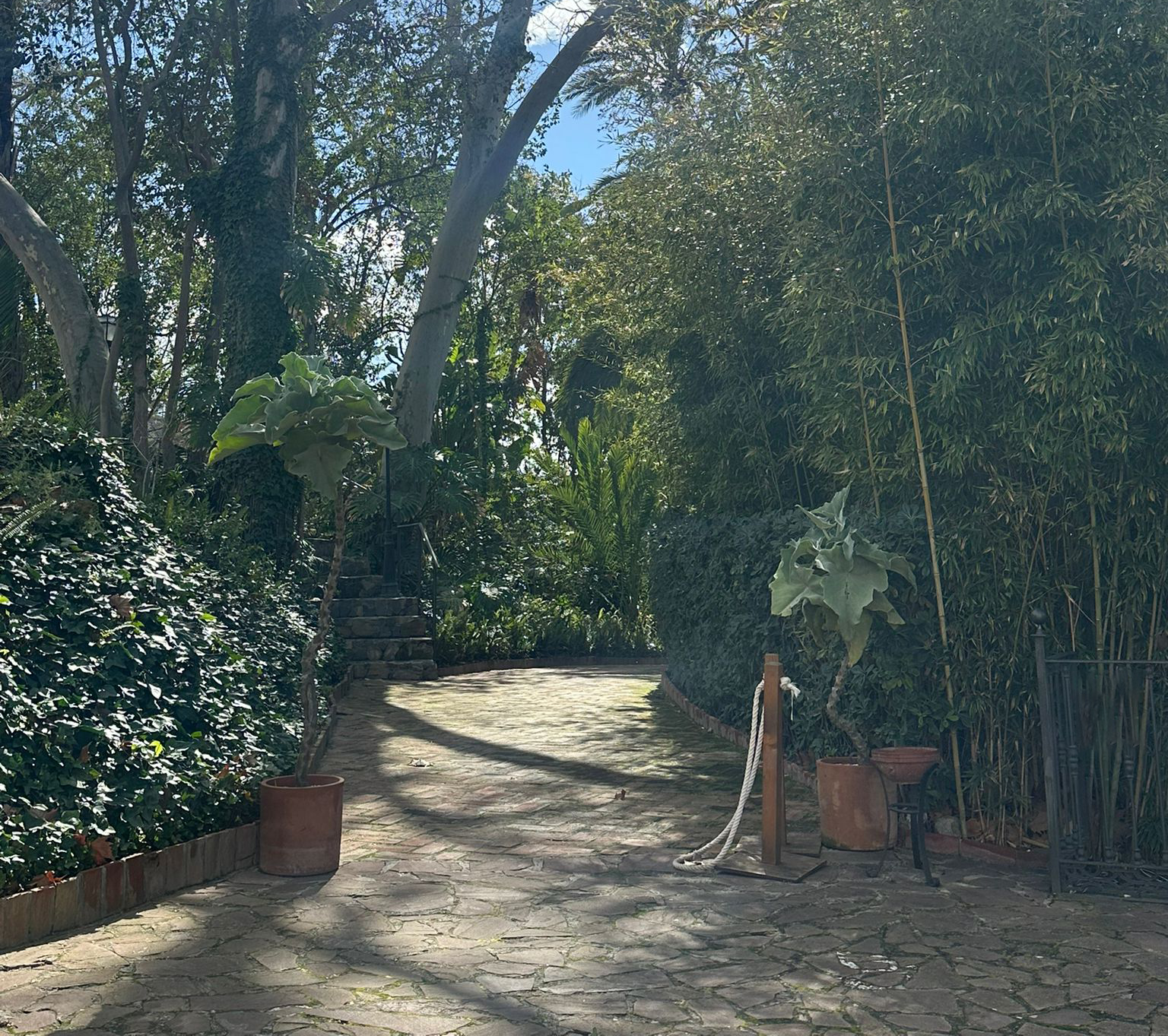 Finca Las Margaritas